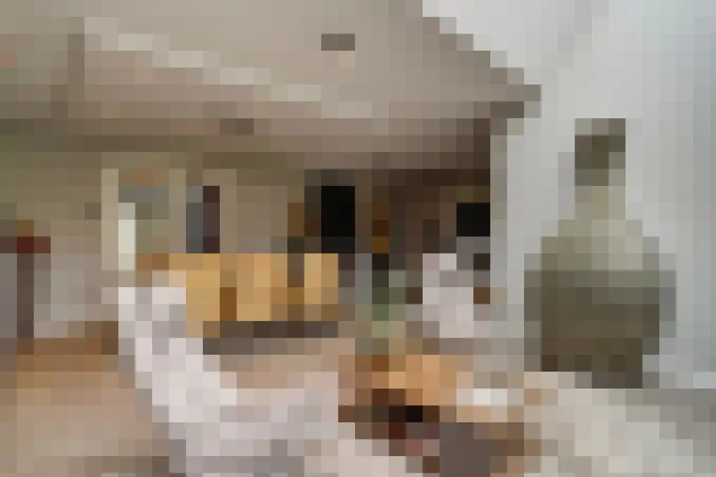 Grevelingenhout 74 Bruinisse thumbnail 33