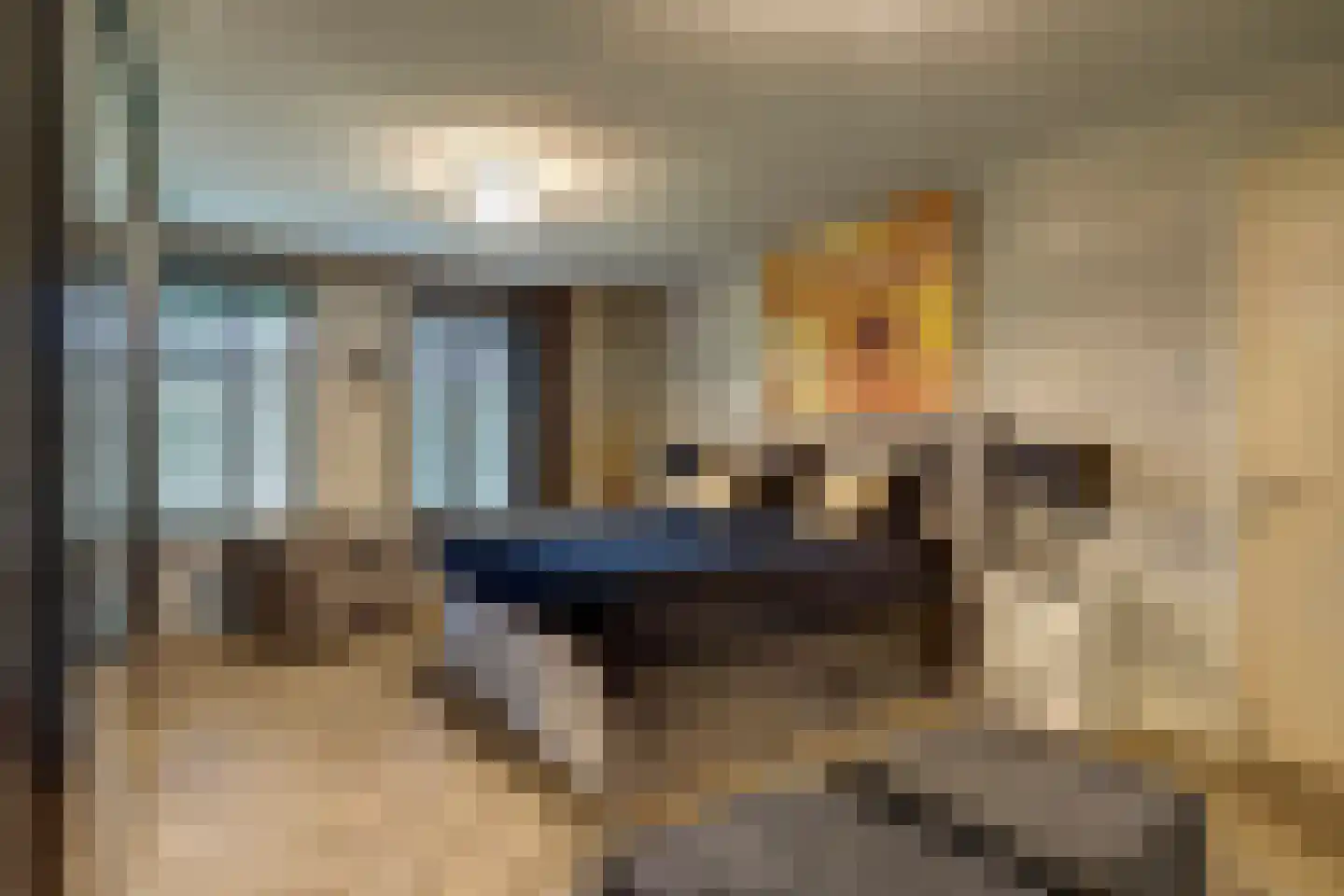 Grevelingenhout 74 Bruinisse thumbnail 39