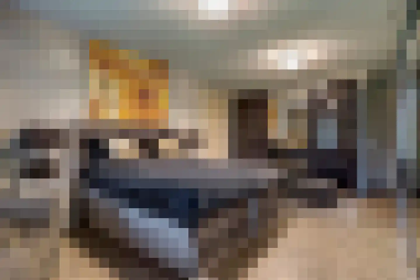 Grevelingenhout 74 Bruinisse thumbnail 40