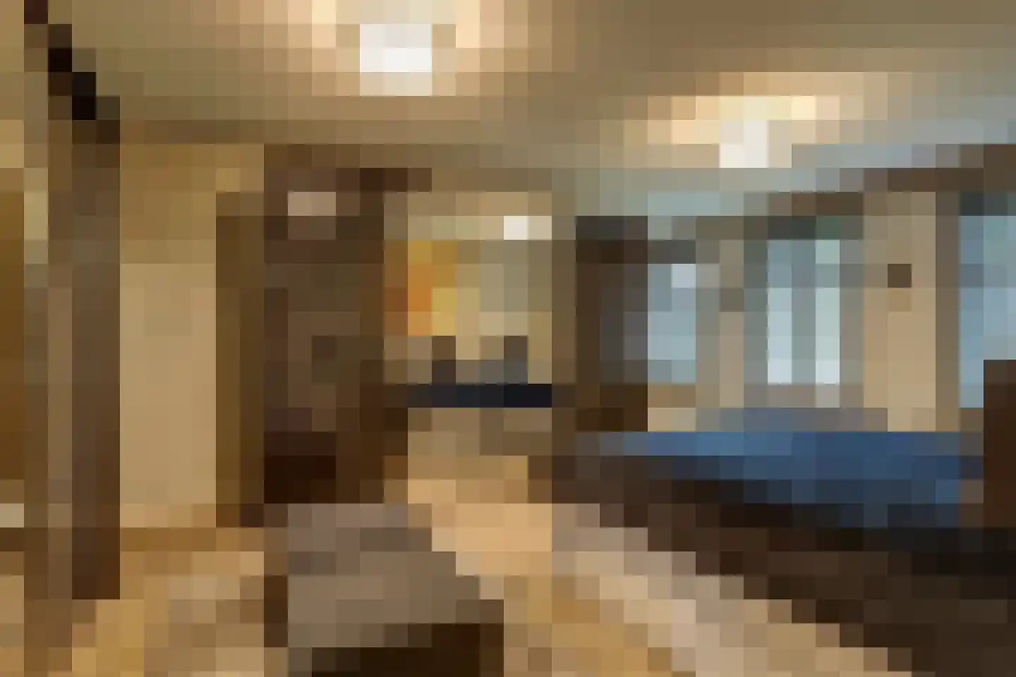 Grevelingenhout 74 Bruinisse thumbnail 41