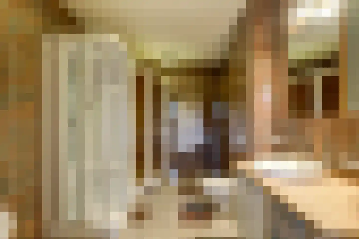 Grevelingenhout 74 Bruinisse thumbnail 64
