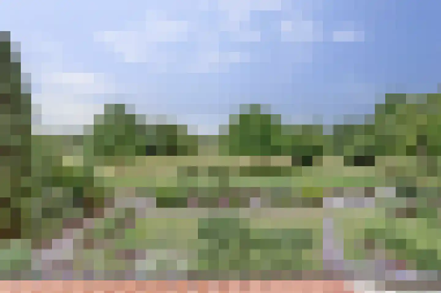 Grevelingenhout 74 Bruinisse thumbnail 68