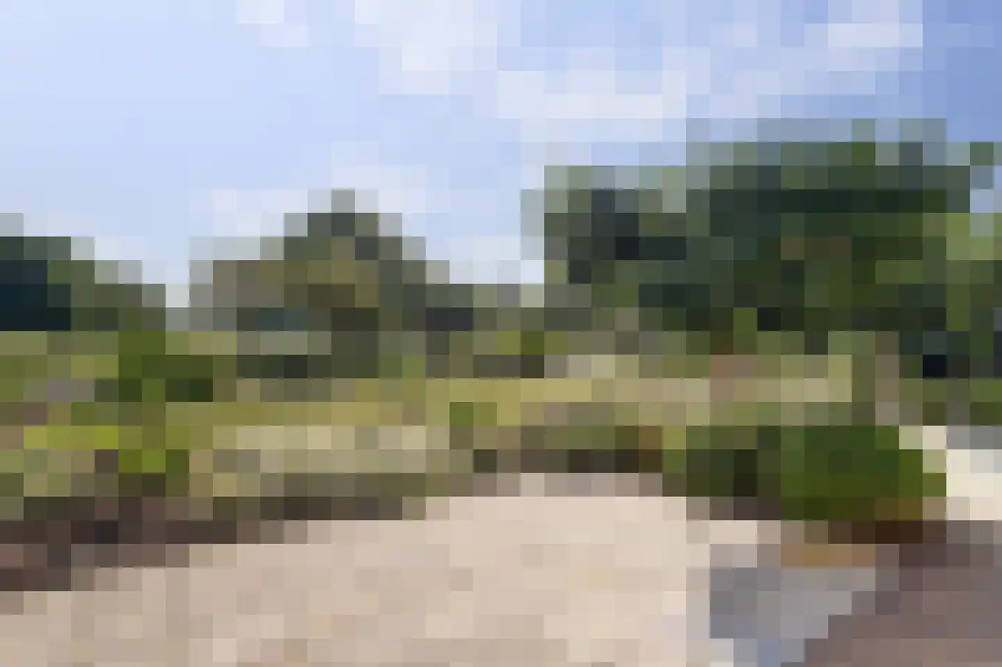 Grevelingenhout 74 Bruinisse thumbnail 74
