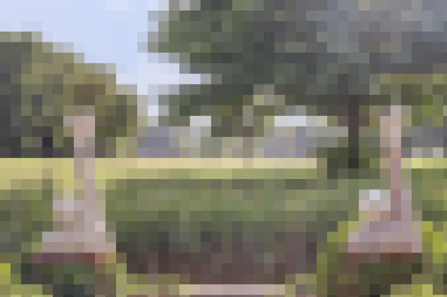 Grevelingenhout 74 Bruinisse thumbnail 75
