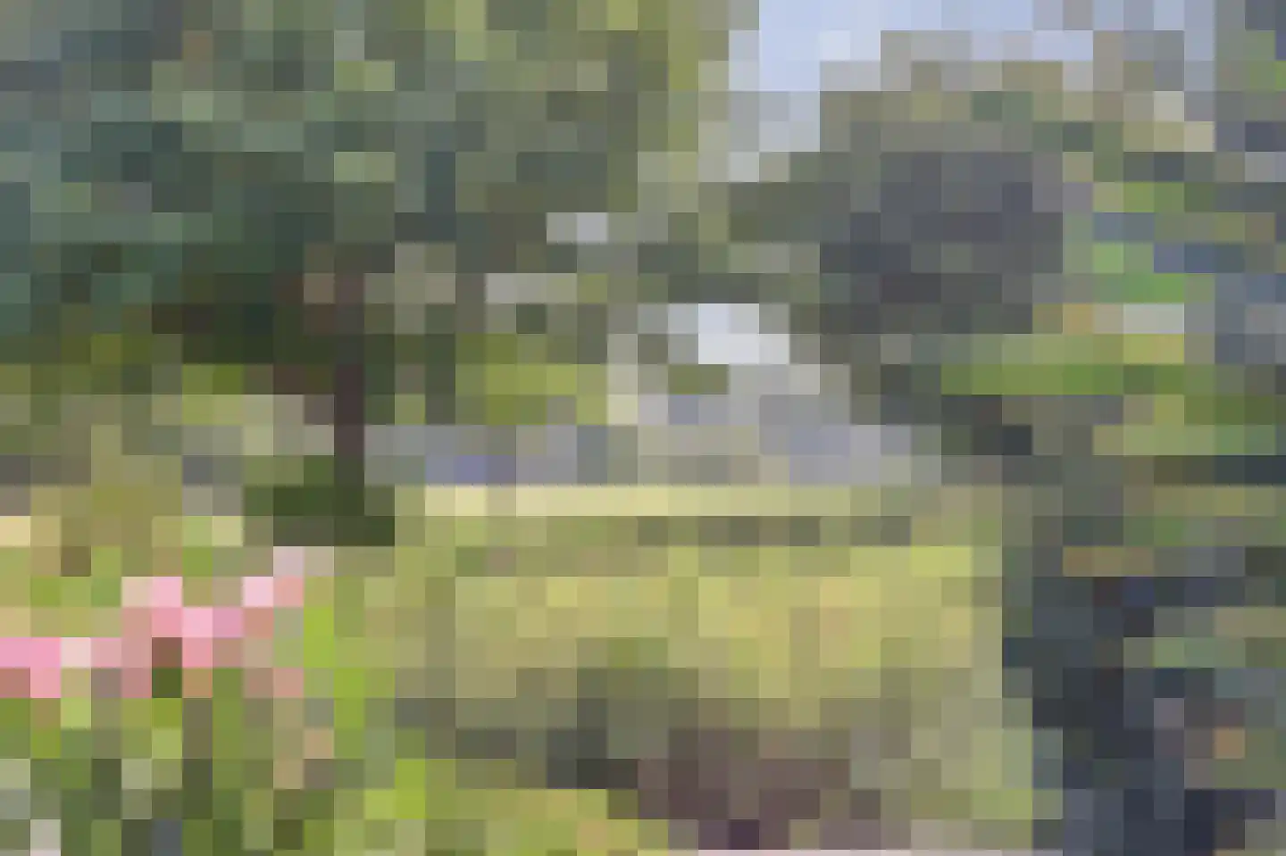 Grevelingenhout 74 Bruinisse thumbnail 76