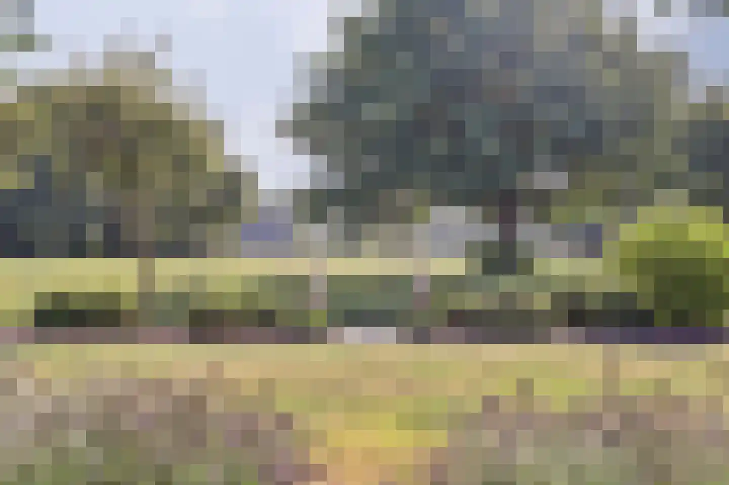 Grevelingenhout 74 Bruinisse thumbnail 77