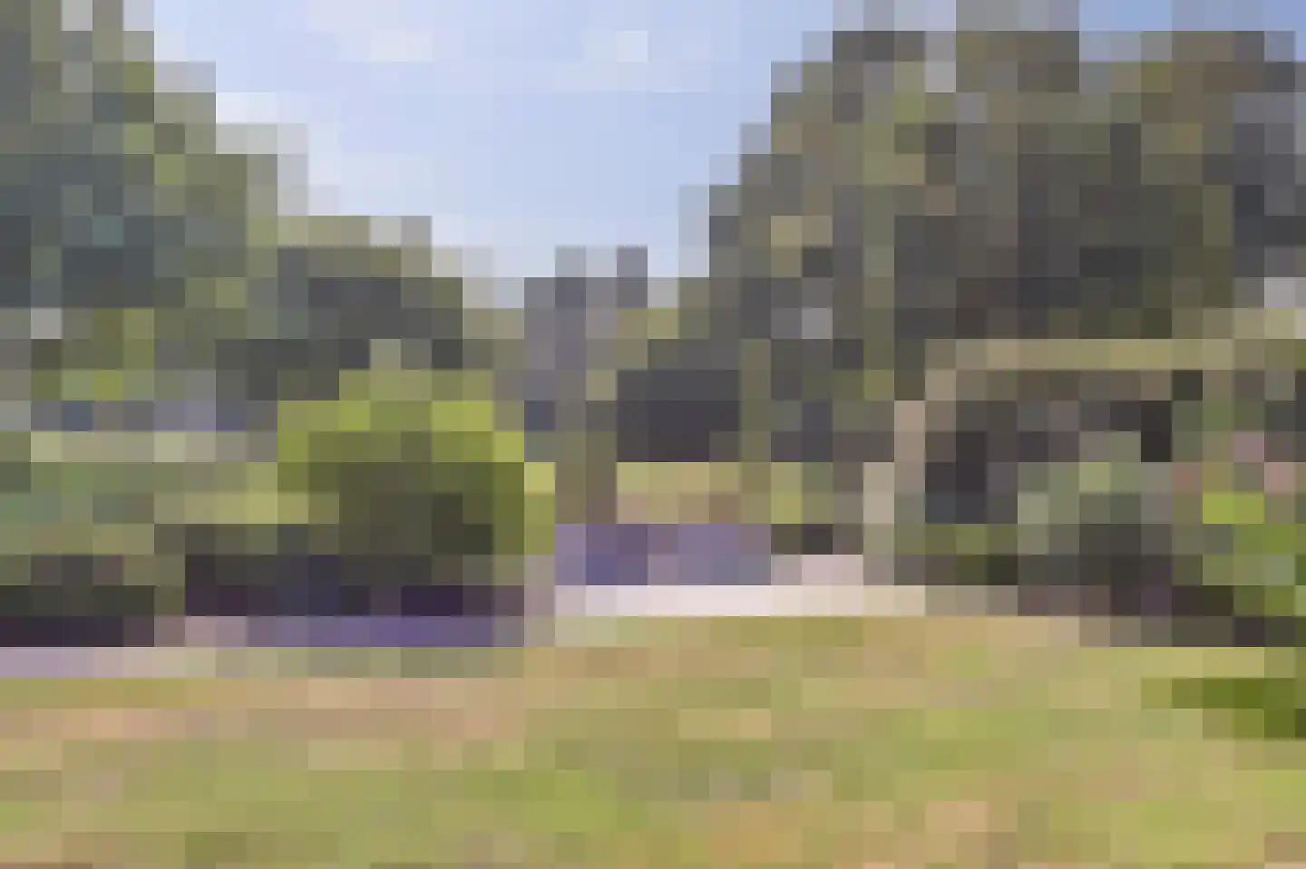 Grevelingenhout 74 Bruinisse thumbnail 78