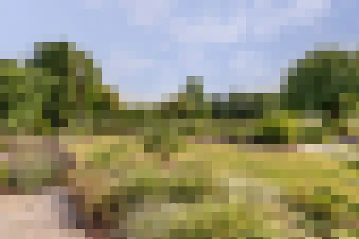 Grevelingenhout 74 Bruinisse thumbnail 81