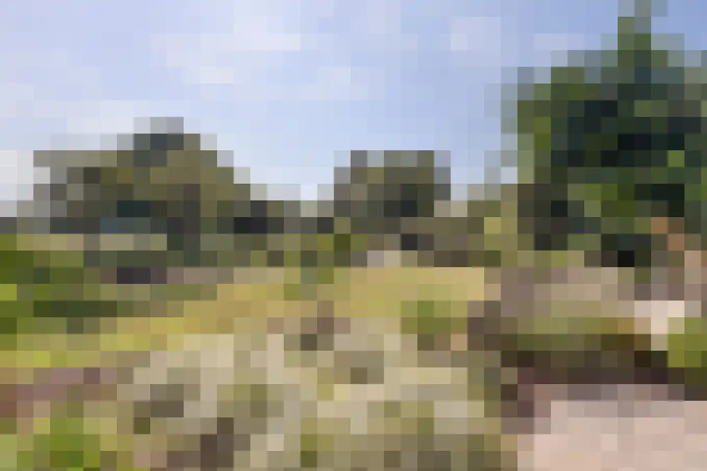 Grevelingenhout 74 Bruinisse thumbnail 82