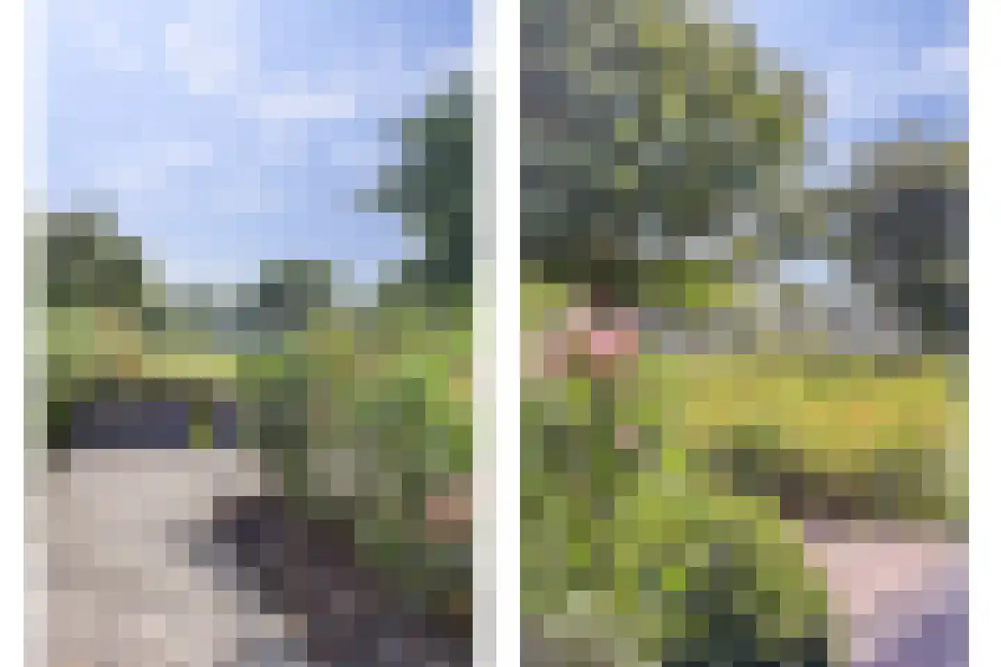 Grevelingenhout 74 Bruinisse thumbnail 83