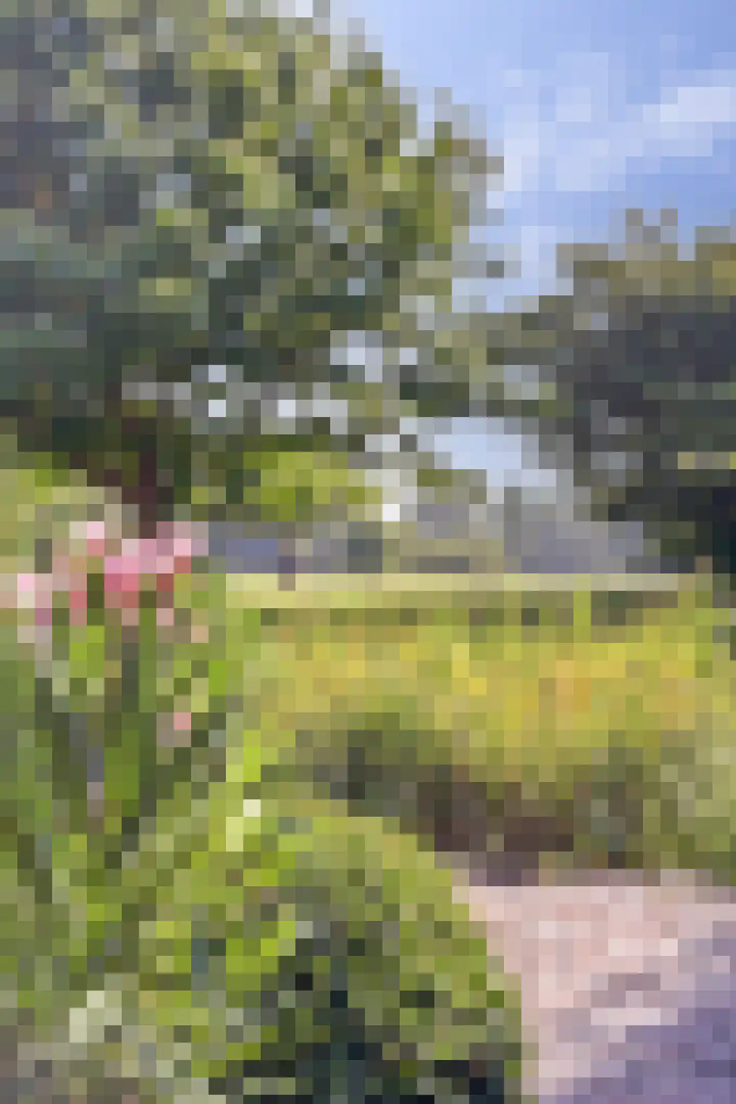 Grevelingenhout 74 Bruinisse thumbnail 84