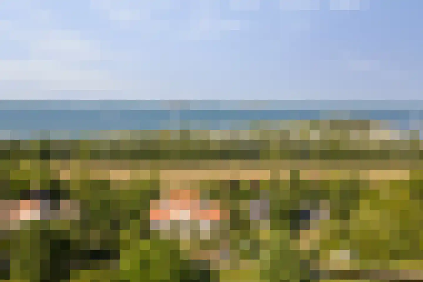Grevelingenhout 74 Bruinisse thumbnail 85