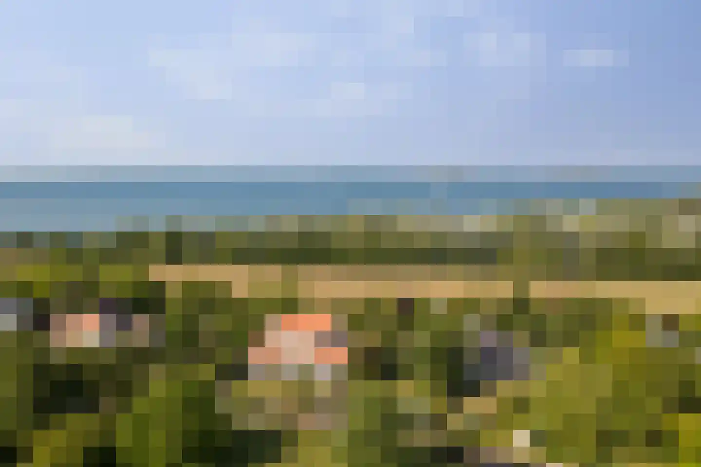 Grevelingenhout 74 Bruinisse thumbnail 86