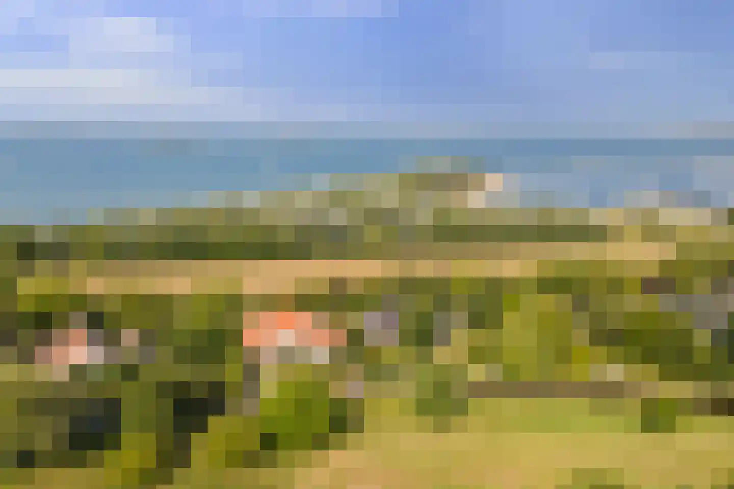 Grevelingenhout 74 Bruinisse thumbnail 87