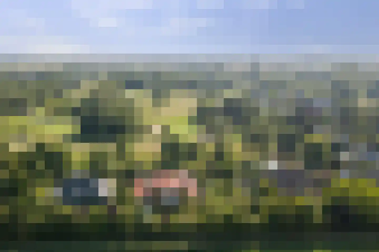 Grevelingenhout 74 Bruinisse thumbnail 88