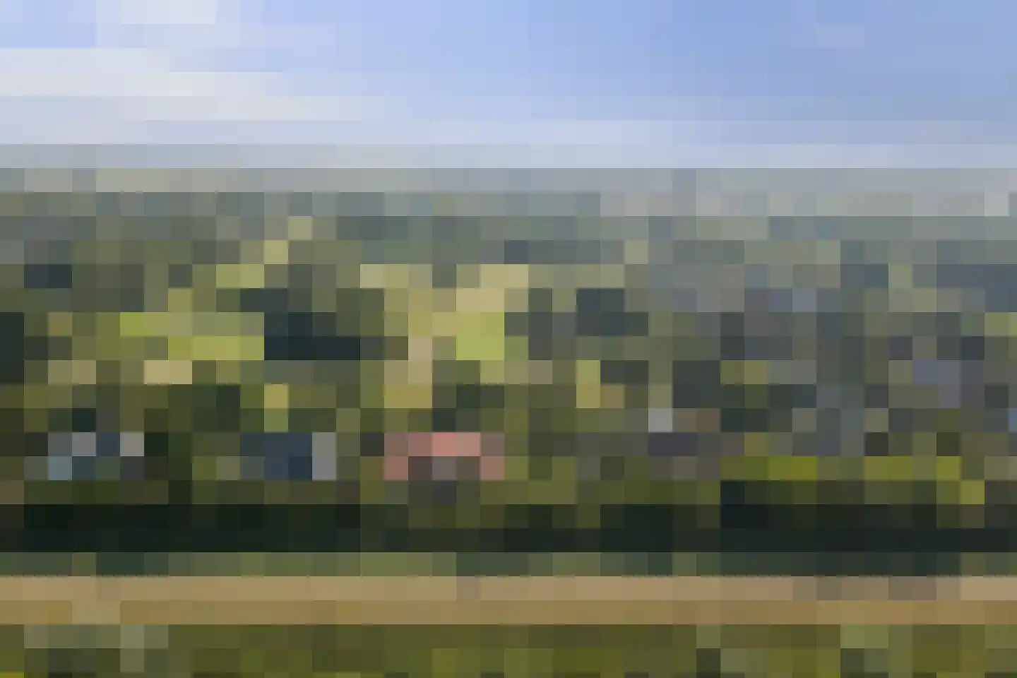 Grevelingenhout 74 Bruinisse thumbnail 89