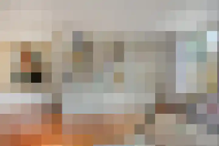 Grevelingenhout 9 Bruinisse thumbnail 10