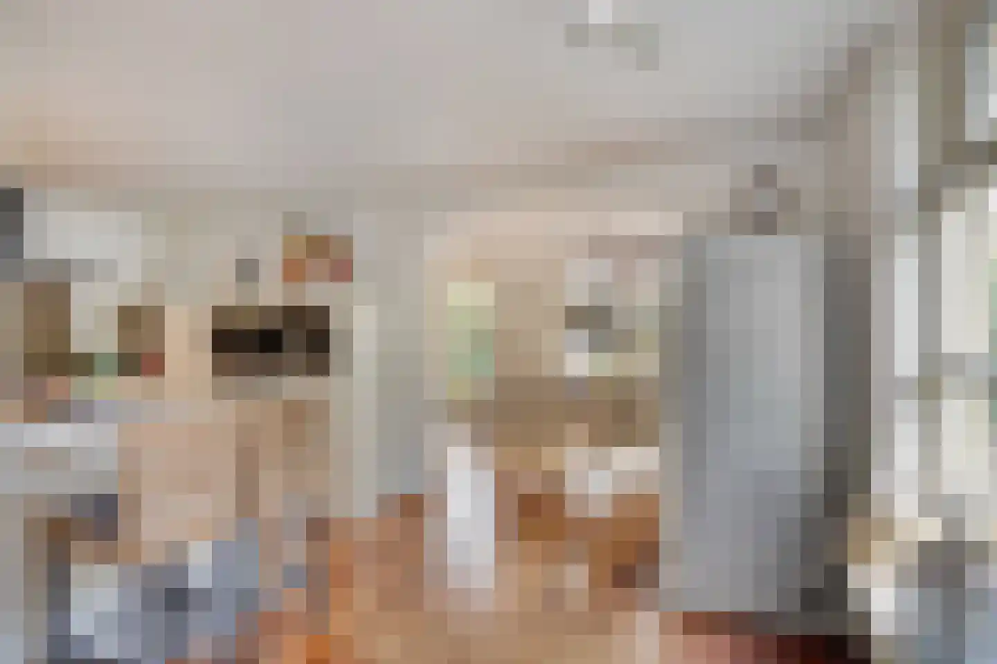 Grevelingenhout 9 Bruinisse thumbnail 11