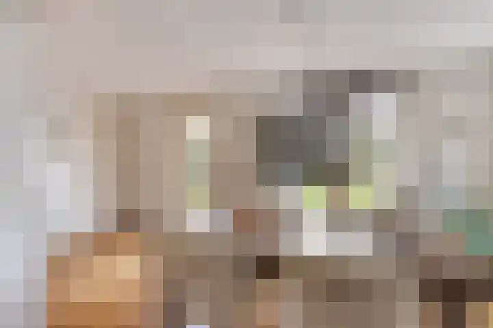 Grevelingenhout 9 Bruinisse thumbnail 13