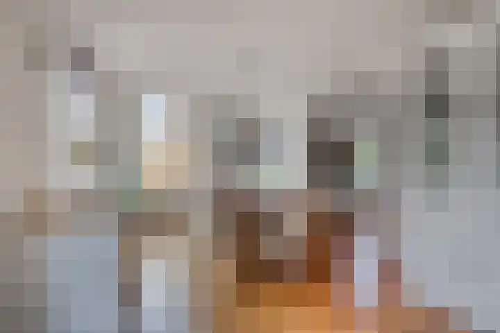 Grevelingenhout 9 Bruinisse thumbnail 14
