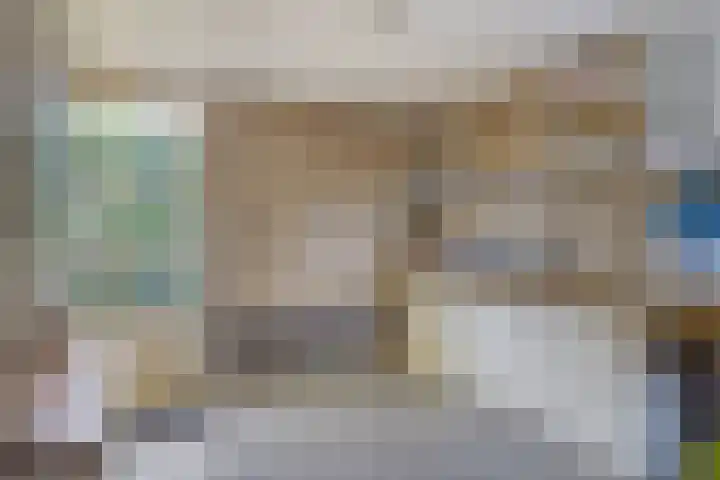 Grevelingenhout 9 Bruinisse thumbnail 15