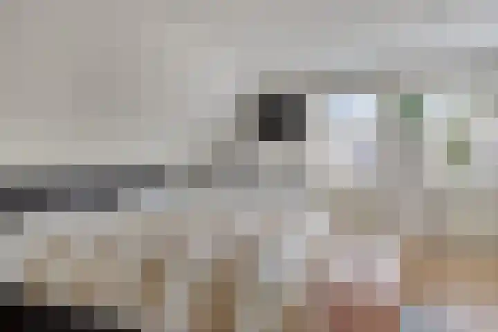 Grevelingenhout 9 Bruinisse thumbnail 17