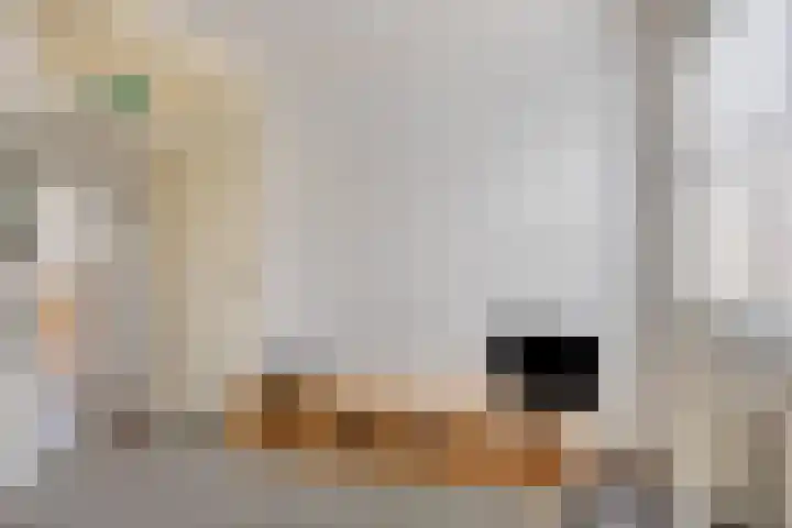 Grevelingenhout 9 Bruinisse thumbnail 21