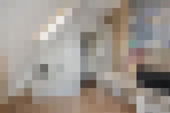 Grevelingenhout 9 Bruinisse thumbnail 23