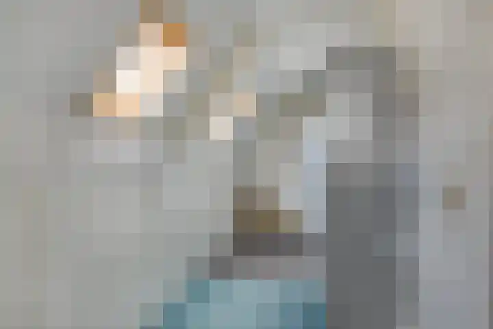 Grevelingenhout 9 Bruinisse thumbnail 24