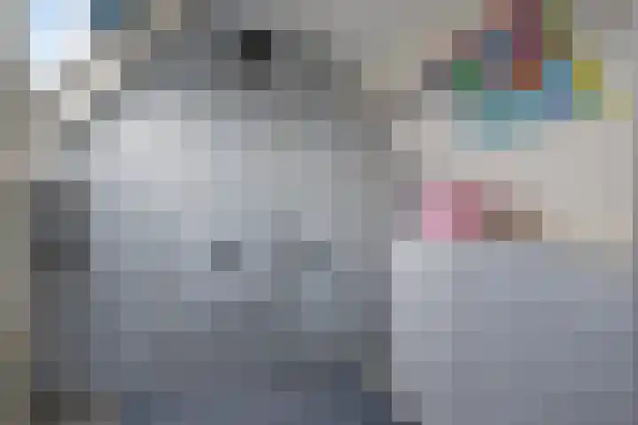 Grevelingenhout 9 Bruinisse thumbnail 27