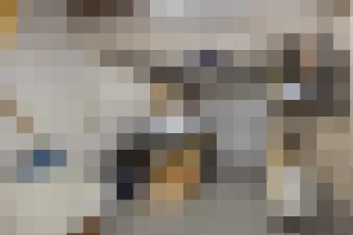 Grevelingenhout 9 Bruinisse thumbnail 28