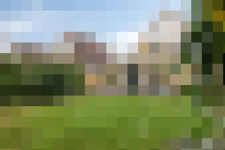Grevelingenhout 9 Bruinisse thumbnail 29