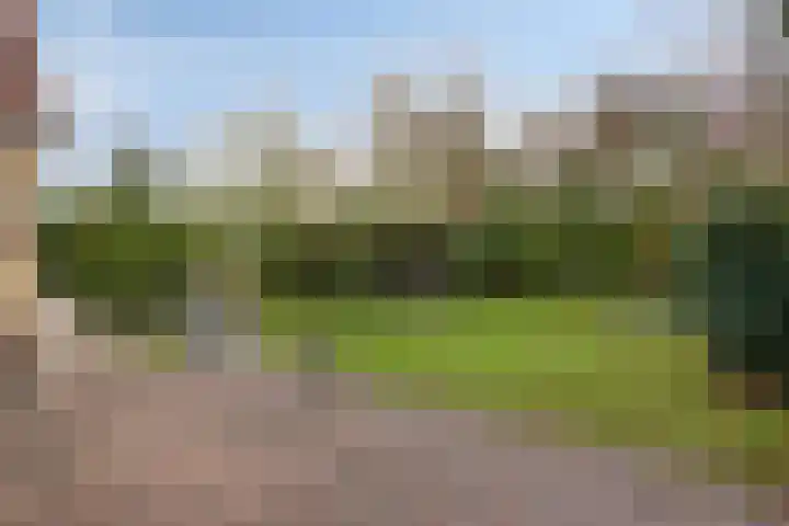 Grevelingenhout 9 Bruinisse thumbnail 30