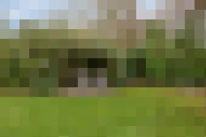 Grevelingenhout 9 Bruinisse thumbnail 31