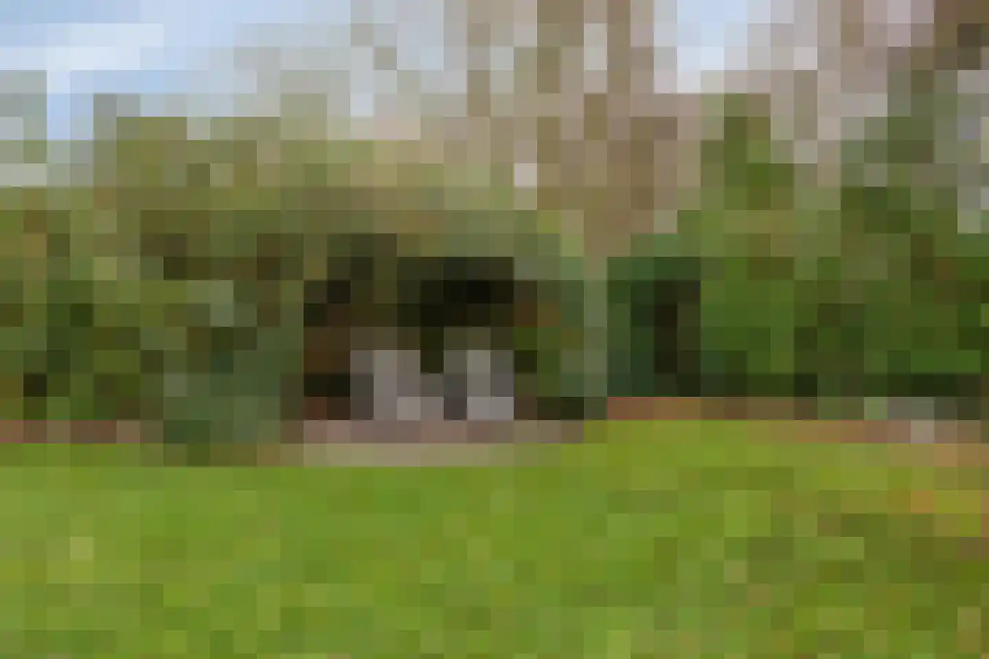 Grevelingenhout 9 Bruinisse thumbnail 31