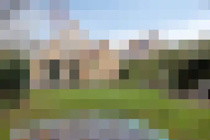 Grevelingenhout 9 Bruinisse thumbnail 32