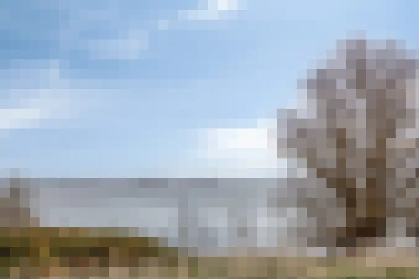 Grevelingenhout 9 Bruinisse thumbnail 33
