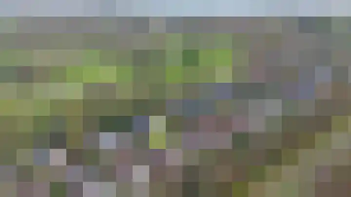 Grevelingenhout 9 Bruinisse thumbnail 34