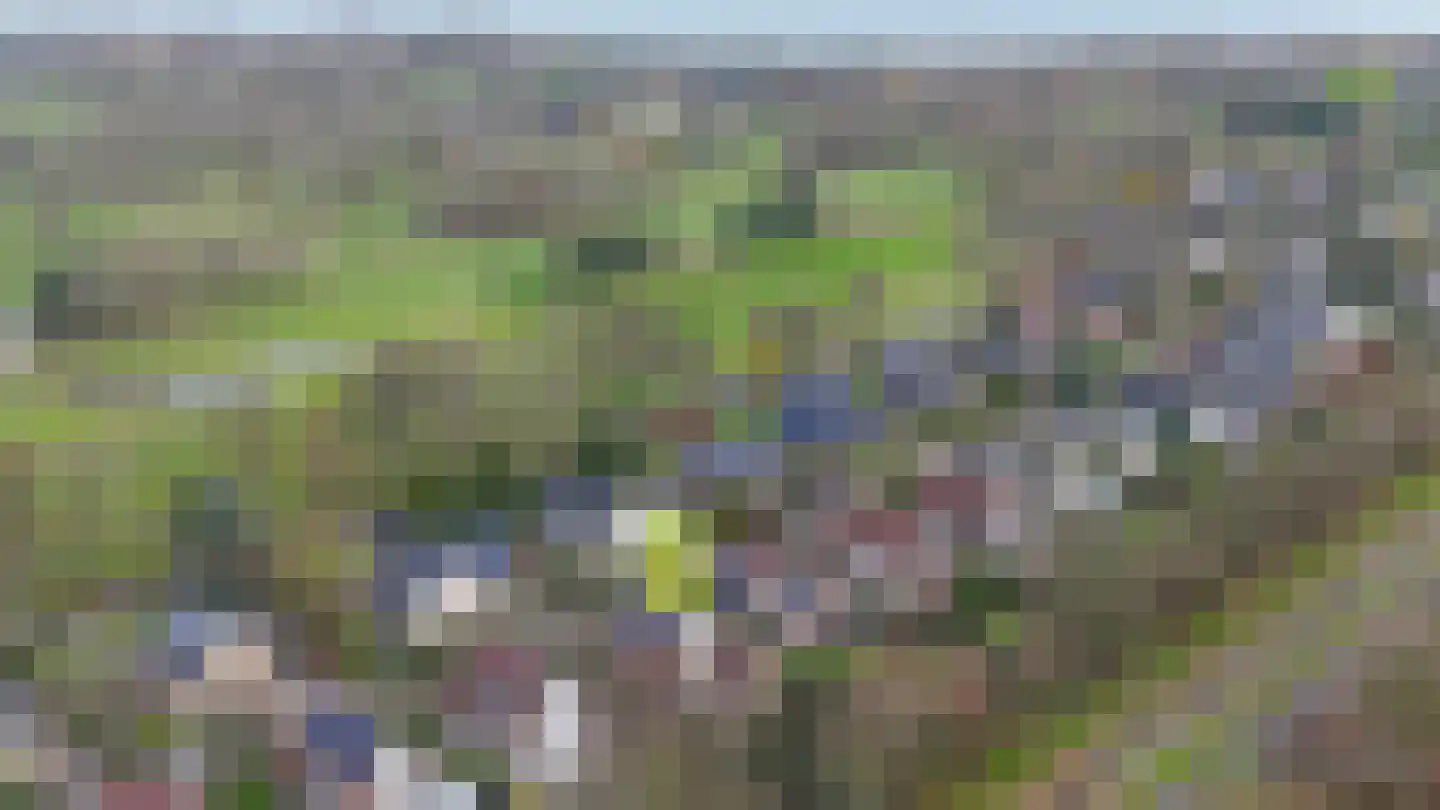 Grevelingenhout 9 Bruinisse thumbnail 34
