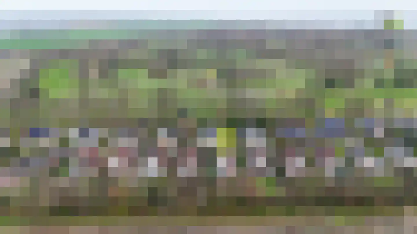 Grevelingenhout 9 Bruinisse thumbnail 35