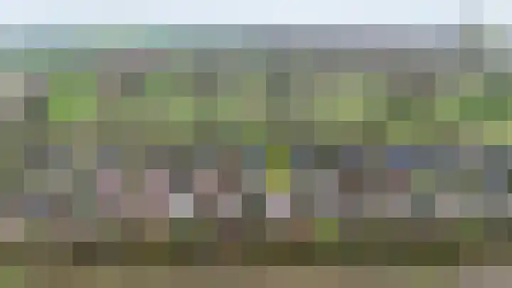 Grevelingenhout 9 Bruinisse thumbnail 35