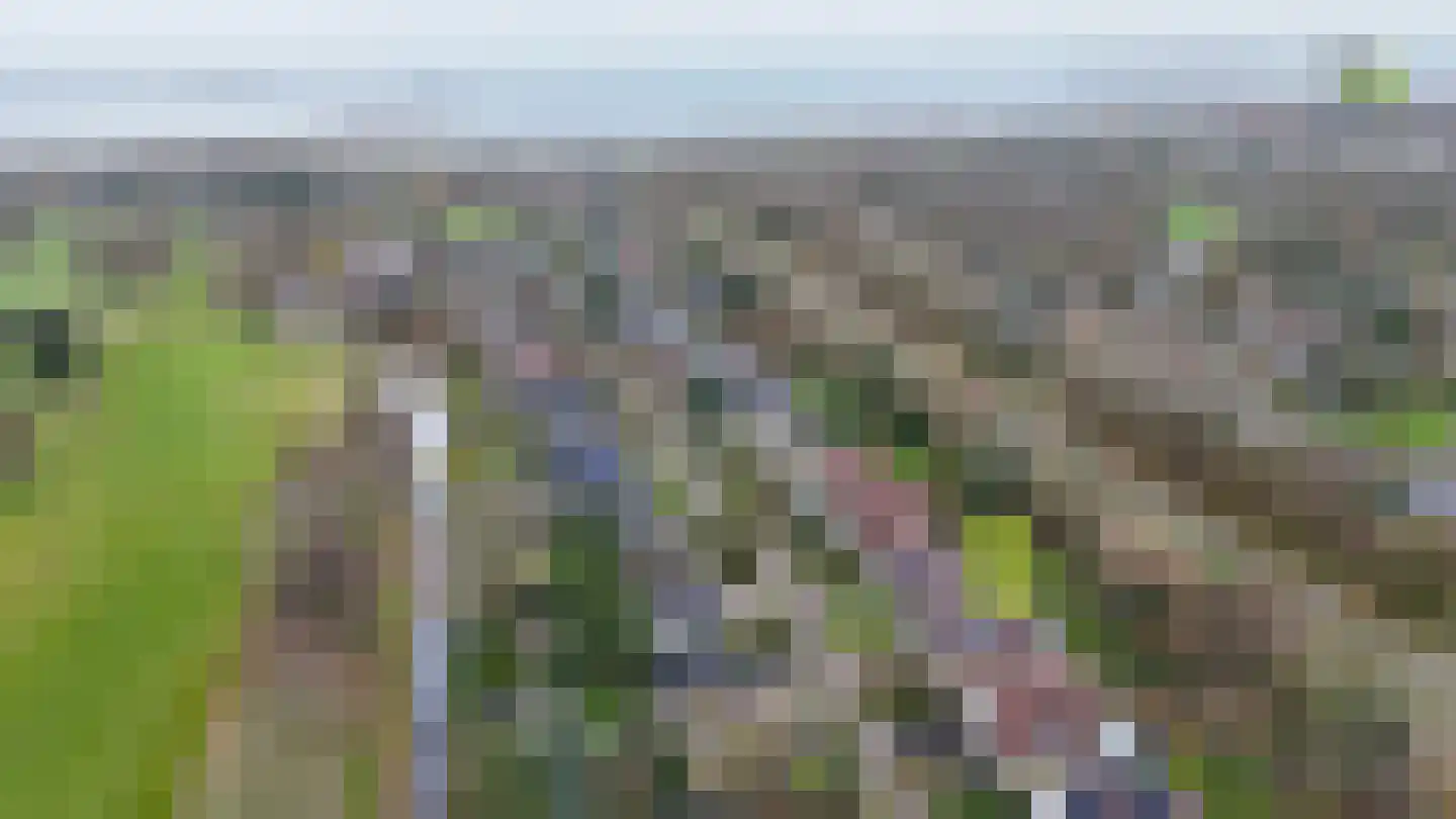 Grevelingenhout 9 Bruinisse thumbnail 36