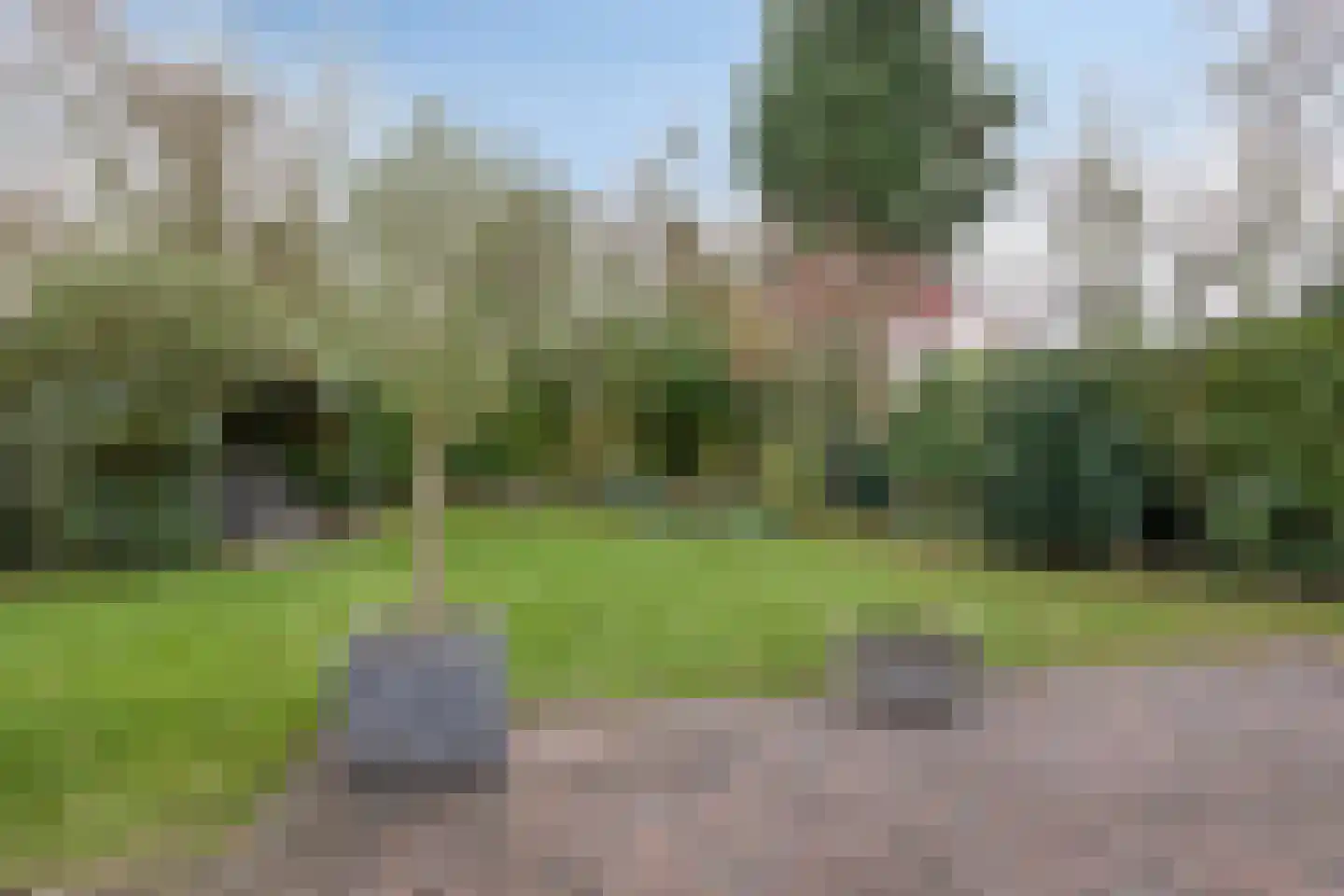 Grevelingenhout 9 Bruinisse thumbnail 4