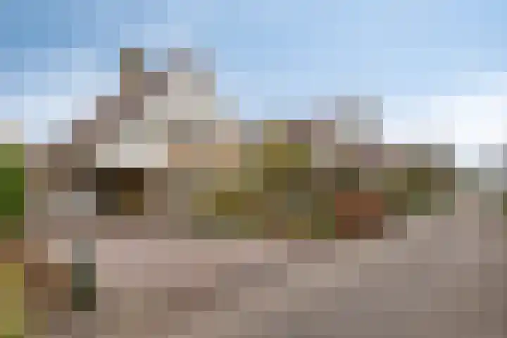 Grevelingenhout 9 Bruinisse thumbnail 5