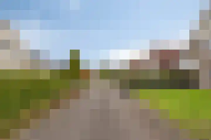 Grevelingenhout 9 Bruinisse thumbnail 6