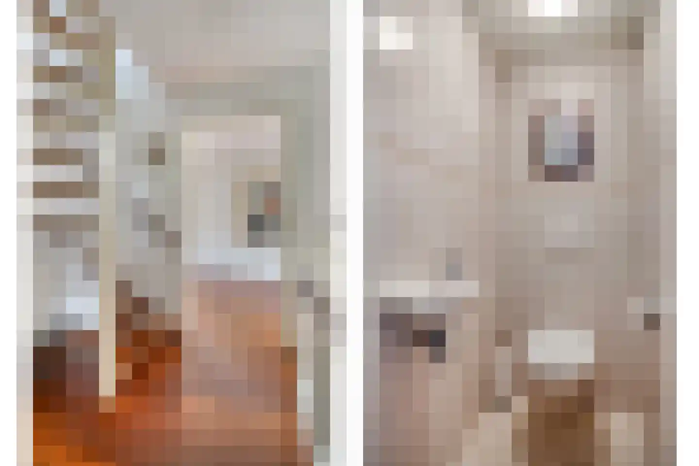 Grevelingenhout 9 Bruinisse thumbnail 8