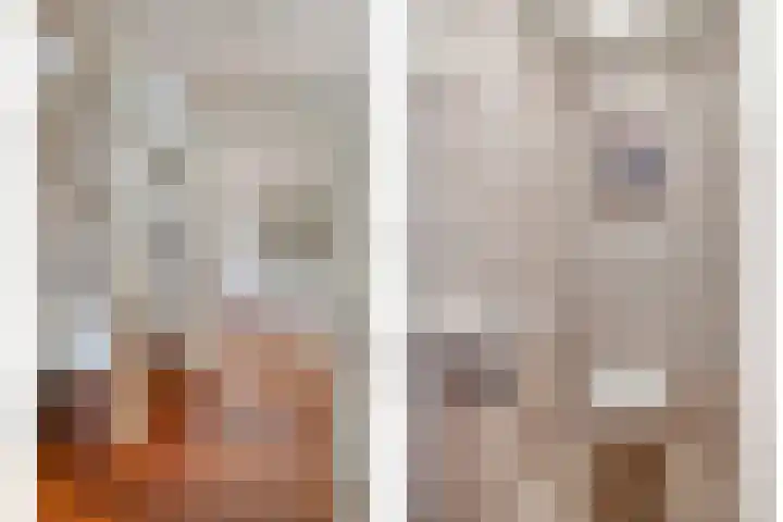 Grevelingenhout 9 Bruinisse thumbnail 8