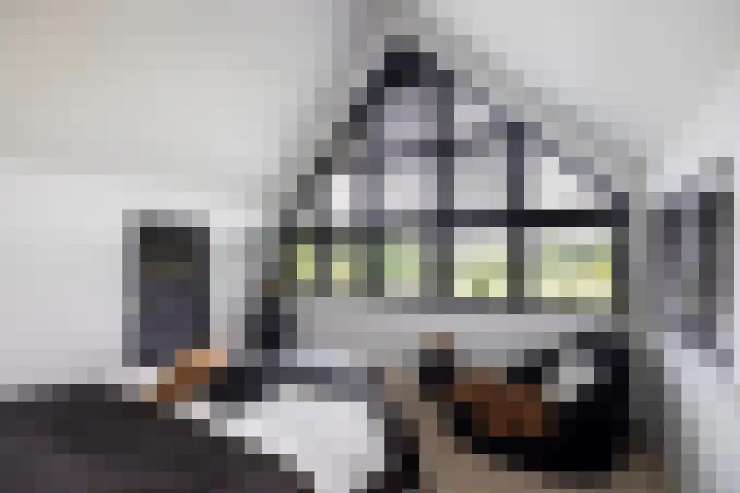 Grevelingenhout 90 Bruinisse thumbnail 31