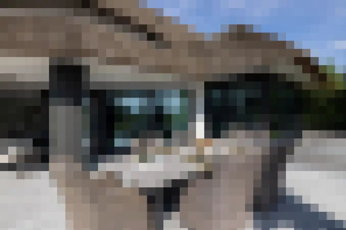 Grevelingenhout 90 Bruinisse thumbnail 47