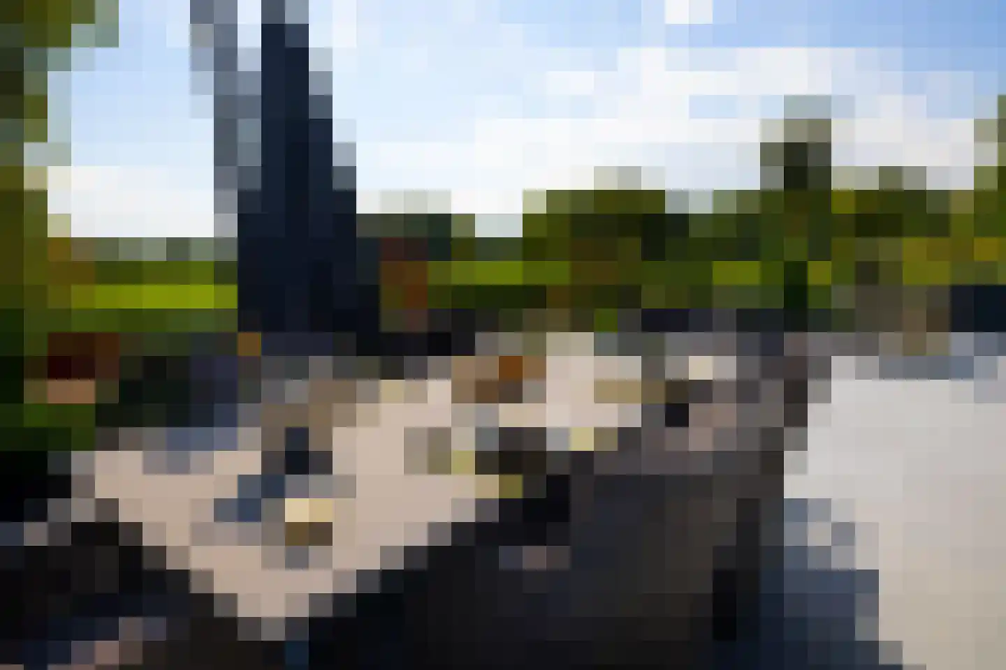 Grevelingenhout 90 Bruinisse thumbnail 48